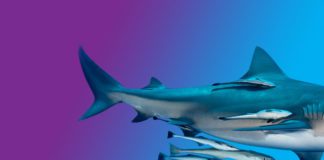 Professional Services Branding: retaining a creative agency