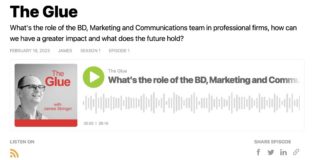The Glue: a podcast for professional services BD, marketing and communications teams