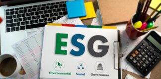 Can professional services firms afford not to be part of the race to Net Zero?