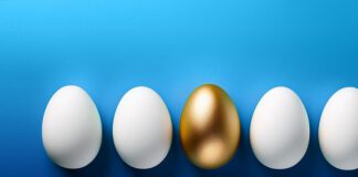 Why WordPress prevails: Unveiling our ultimate CMS choice