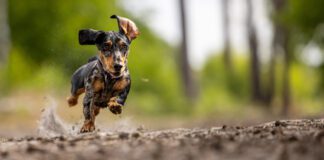 Quick and dirty – a new approach for sustainable thought leadership