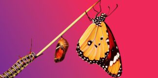 The art of reinvention: A roadmap for rebranding your professional services firm